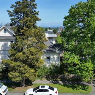 A residential area with a house featuring solar panels, surrounded by trees, and cars parked on the street.