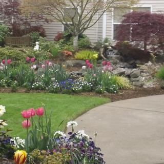 A beautifully landscaped garden with a variety of colorful flowers and plants surrounding a curved pathway.