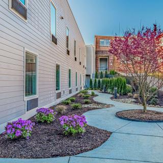 A landscaped pathway beside a building, featuring colorful flowers and trees.