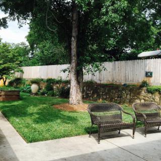 A tranquil garden setting with benches under a tree.