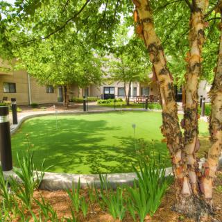 A serene garden with lush greenery and trees surrounding a well-maintained lawn.