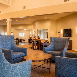 A modern and cozy living room with blue upholstered chairs and a round table.