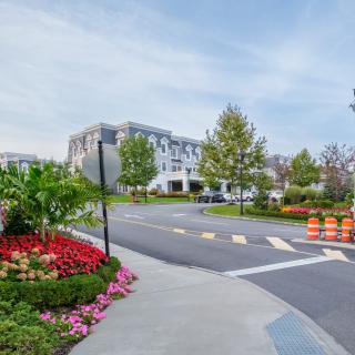 A scenic view of a road lined with vibrant flowers and trees, leading to a building under a clear sky.