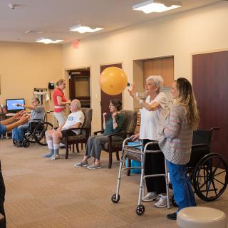 A group of elderly individuals participating in a physical therapy session using an exercise ball.