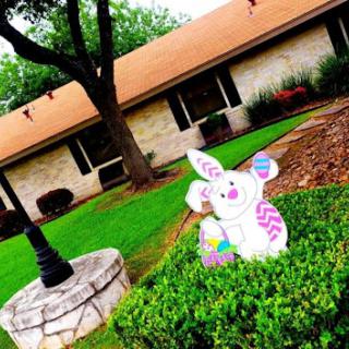 A cheerful Easter bunny decoration in a vibrant yard setting.