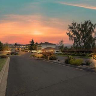A serene road flanked by trees under a vibrant sunset sky.