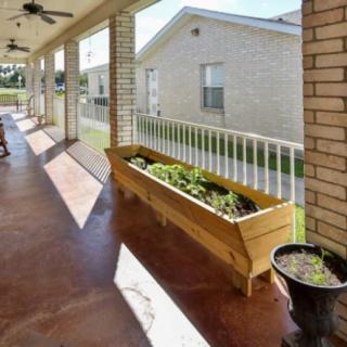 A sunny porch with a wooden planter filled with plants.