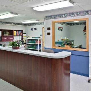 A clean and organized reception area with a wooden desk, bookshelf, and decorative plants.