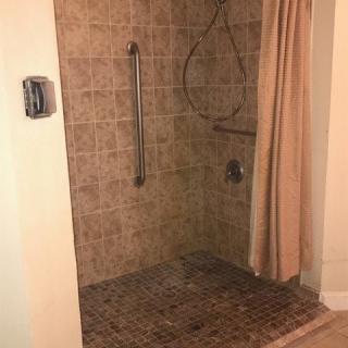 A tiled shower with a handrail and curtain.