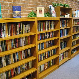 A library bookshelf filled with a collection of books.