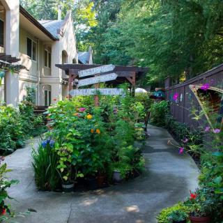 A lush garden pathway surrounded by vibrant plants and greenery.