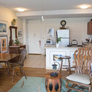 A cozy open-concept living and dining area with a kitchen in the background.