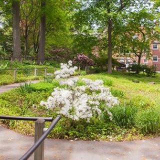A serene garden with blooming flowers and lush greenery.