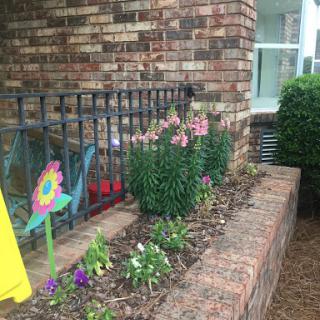 A vibrant garden featuring a variety of flowers and a colorful decoration.