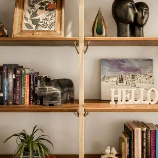 A wooden shelf displaying books, decorative items, a vintage camera, and small plants.