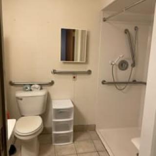 A bathroom with accessibility features, including handrails around the shower and toilet area.