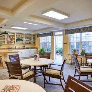 A well-lit dining area with tables and chairs, decorative plants, and large windows.