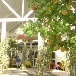 An inviting entrance decorated with autumn leaves and pumpkins.