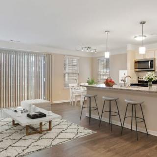 A modern open-concept living room and kitchen area with stylish decor and comfortable seating.