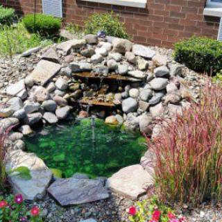 A small garden pond surrounded by rocks and plants with a cascading waterfall feature.