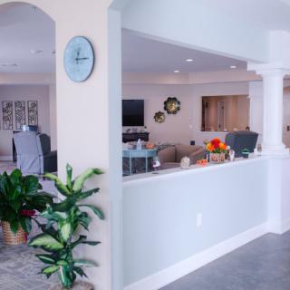 A modern, open-plan living and dining area with vibrant decor and greenery.