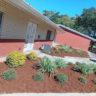 A beautifully landscaped front yard featuring vibrant plants and freshly mulched flower beds.