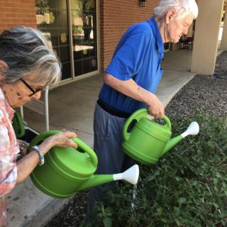 Elderly individuals watering plants outside with green watering cans.