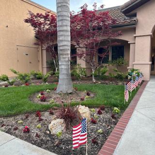 A beautifully landscaped garden featuring a palm tree and decorative flags.