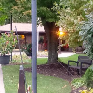 A serene park scene at sunset, featuring a cozy bench surrounded by lush greenery.