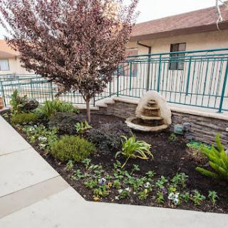 A serene garden featuring a small fountain and a variety of plants, complemented by a tree.