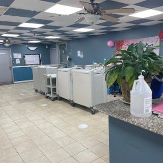 A view of the interior of a laundromat, featuring washing machines and a decorative plant.