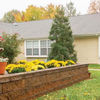 A cozy house with a landscaped yard featuring bright yellow flowers and evergreen shrubs on an autumn day.