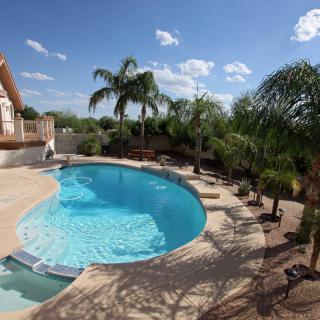 A serene backyard swimming pool surrounded by lush palm trees under a clear blue sky.