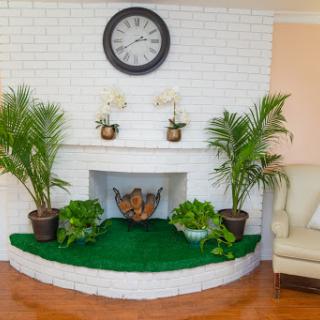 A stylish and serene fireplace area enhanced with decorative plants and a wall clock.