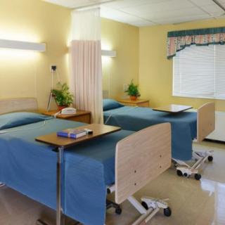 A hospital room featuring two beds separated by a privacy curtain, with bedside tables and potted plants.