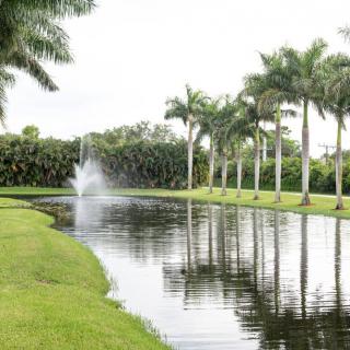 A serene pond with a fountain surrounded by lush palm trees and greenery.