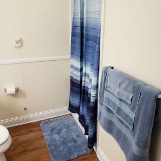 A neatly arranged bathroom with a blue-themed shower curtain, towels, and rug.