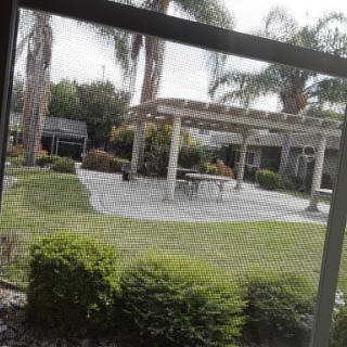 A serene outdoor garden area featuring a patio with a pergola and lush greenery.