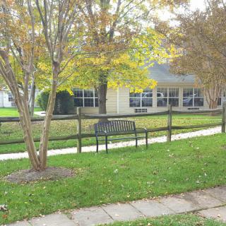 A peaceful park scene with a bench, trees, and a building in the background.