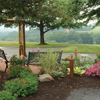 A serene garden scene with a wooden bench and colorful flowers under a large tree.
