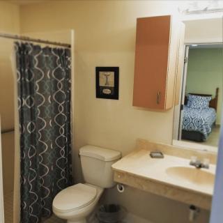 A view of a bathroom featuring a sink, toilet, and shower with a patterned curtain.