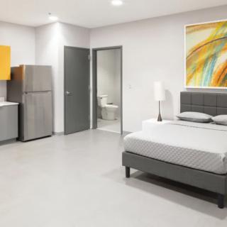 A modern and minimalist apartment interior featuring a bedroom with a grey color scheme, equipped with a kitchenette and a private bathroom.