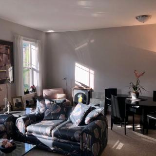A cozy living room with a sofa, armchair, and dining area, illuminated by sunlight.