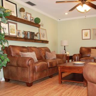 A cozy living room featuring leather sofas, wooden floors, and decorative shelves with indoor plants.