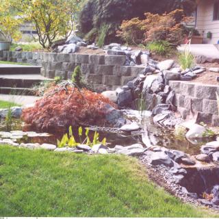 A landscaped garden featuring a small waterfall cascading into a pond, surrounded by rocks and lush greenery.