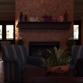 A cozy living room with a fireplace, decorated with plants and stylish seating.
