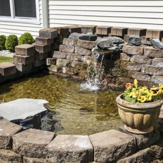 A garden pond with a stone fountain and decorative plants.