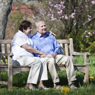 An elderly couple sitting together on a park bench amidst blooming trees.