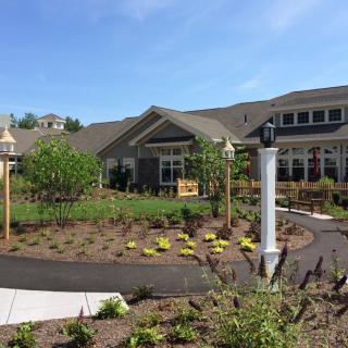 A well-maintained garden area in front of a residential building with clear blue skies.