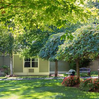 A serene backyard garden with lush green trees and a well-maintained lawn basking in sunlight.
